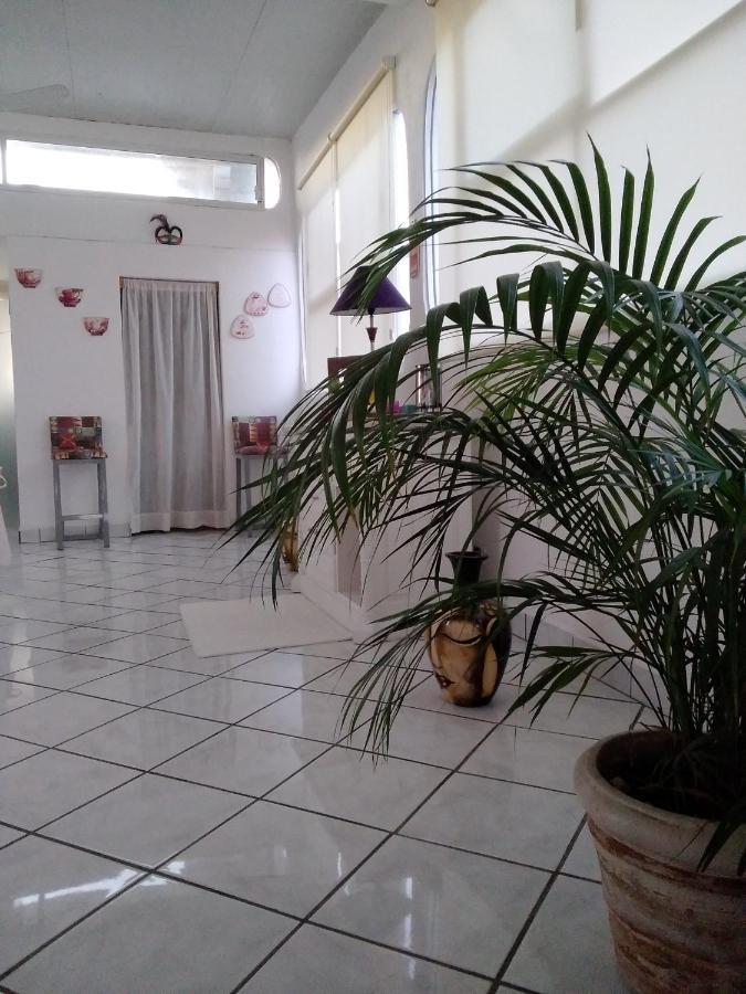 Boutique Basic Hotel Puerto Vallarta Eksteriør bilde
