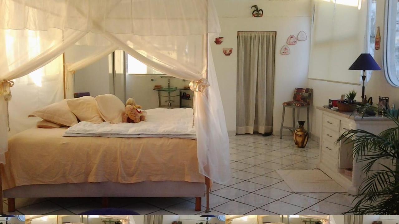 Boutique Basic Hotel Puerto Vallarta Eksteriør bilde