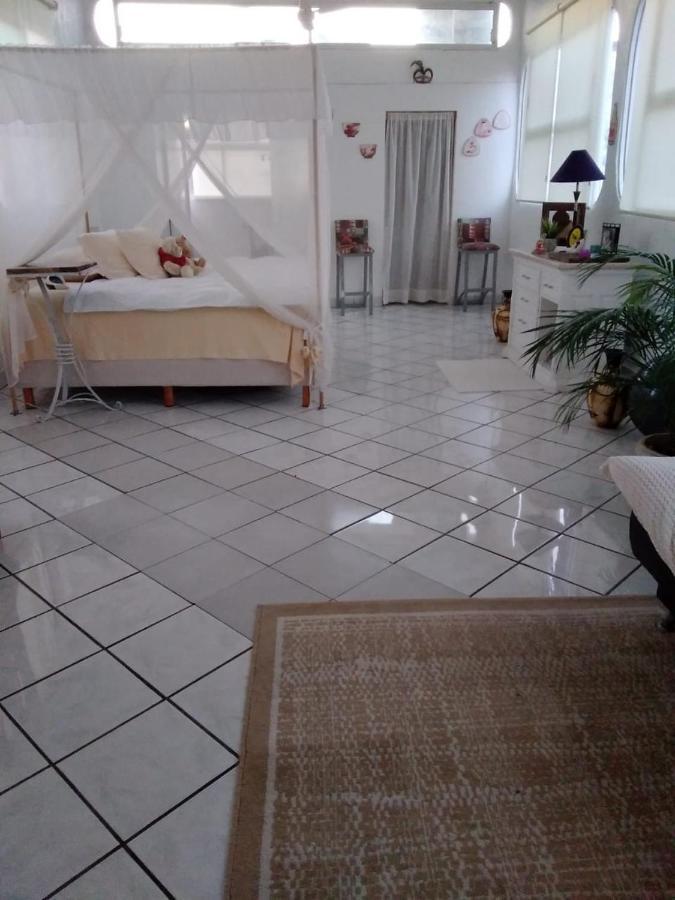 Boutique Basic Hotel Puerto Vallarta Eksteriør bilde